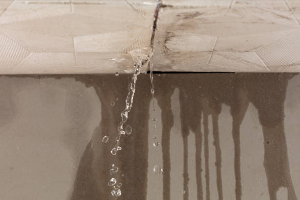 Professional Structural Drying technician working in Peyton, CO